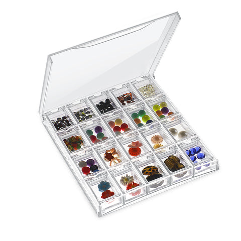 Clear Transparent Bead Accessory Storage Organizer with 20 Small Plast